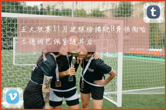 五大联赛11月进球榜揭晓B费领衔哈兰德姆巴佩紧随其后