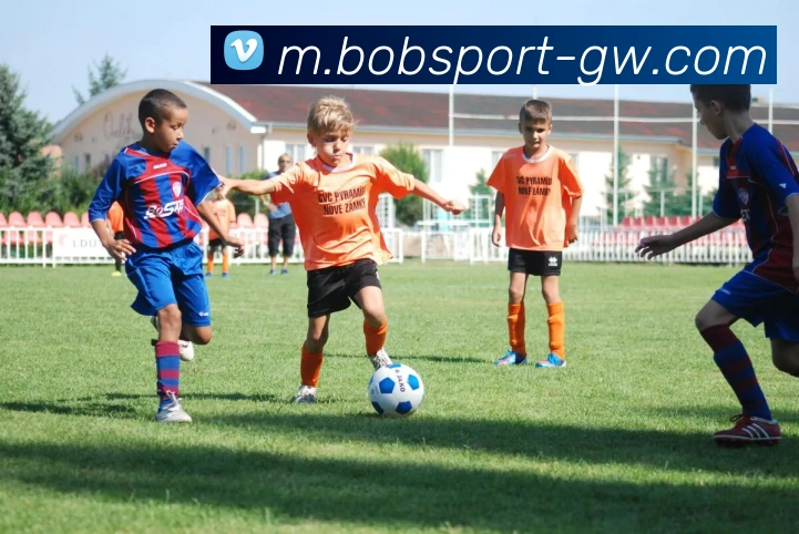 App Interface Preview